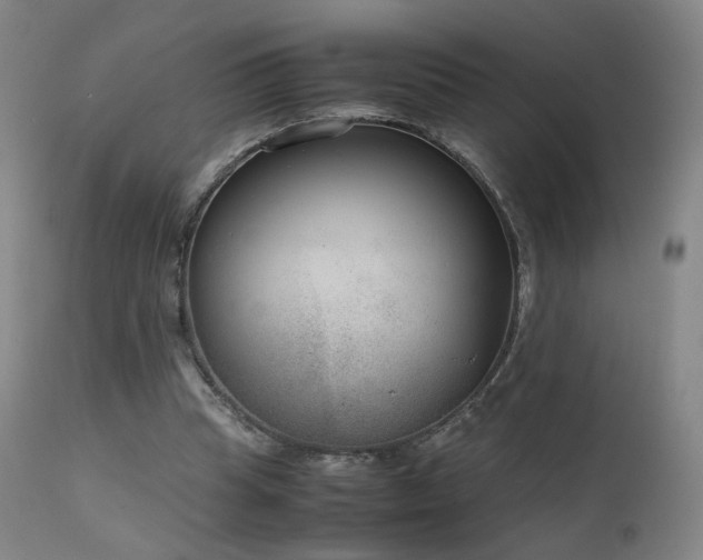 X0000111660345200907171615
