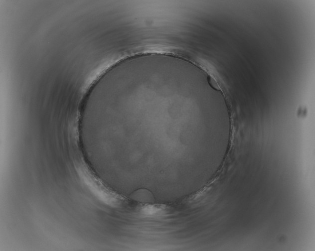X0000111660346200907171615