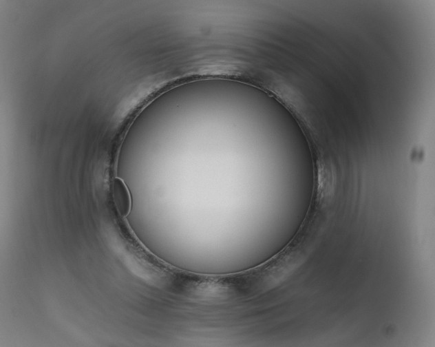 X0000111660348200907171615