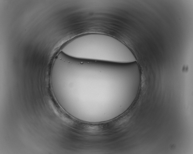 X0000111660349200907171615