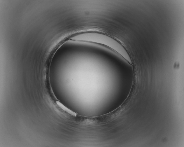 X0000111660350200907171615