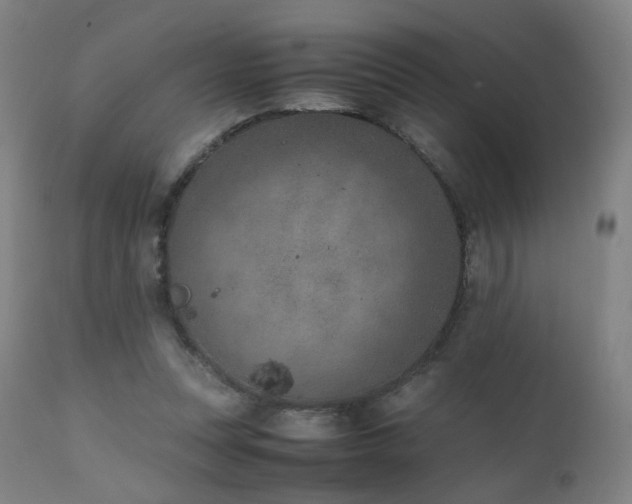 X0000111660351200907171615