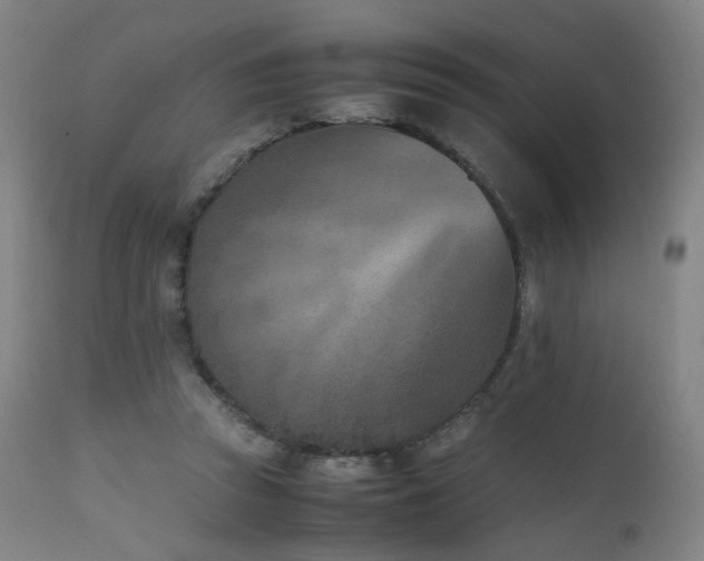 X0000111660353200907171615