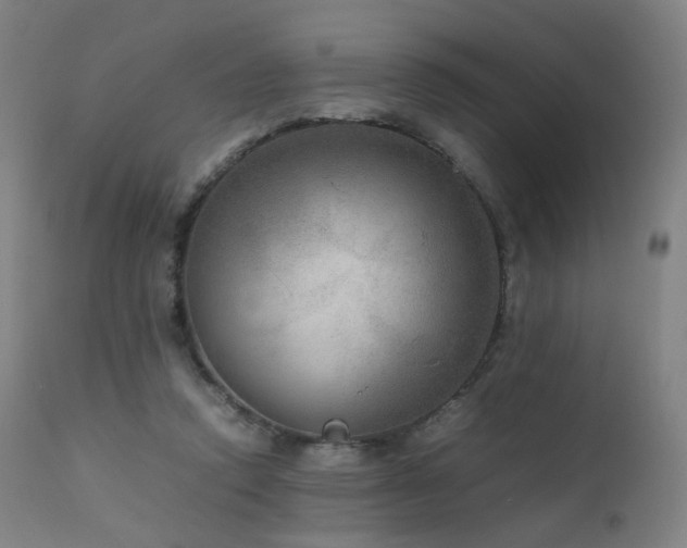 X0000111660354200907171615