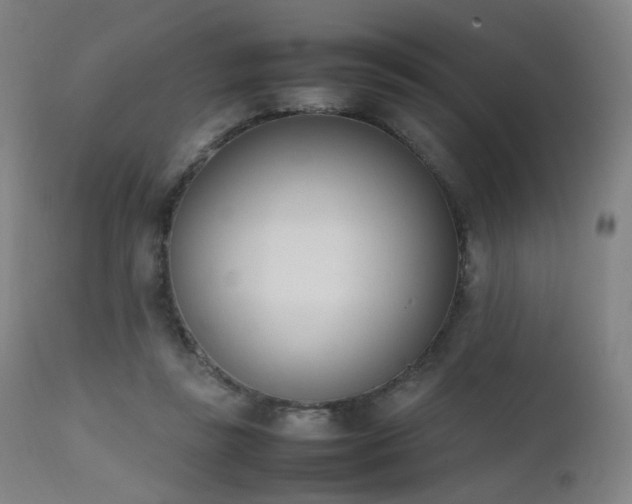 X0000111660355200907171615