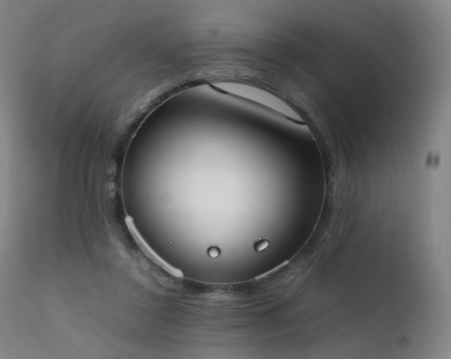 X0000111660356200907171615