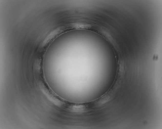 X0000111660357200907171615