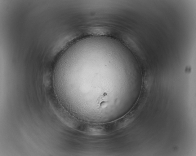 X0000111660359200907171615