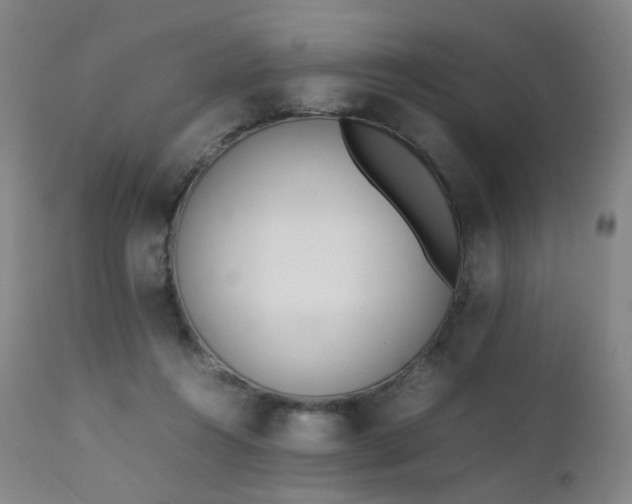 X0000111660360200907171615