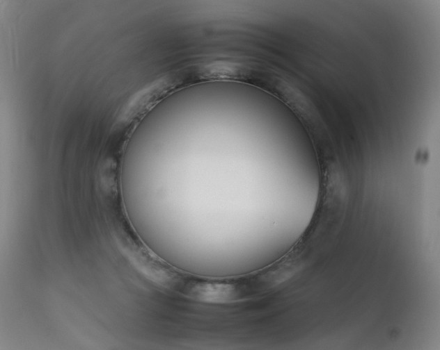 X0000111660361200907171615