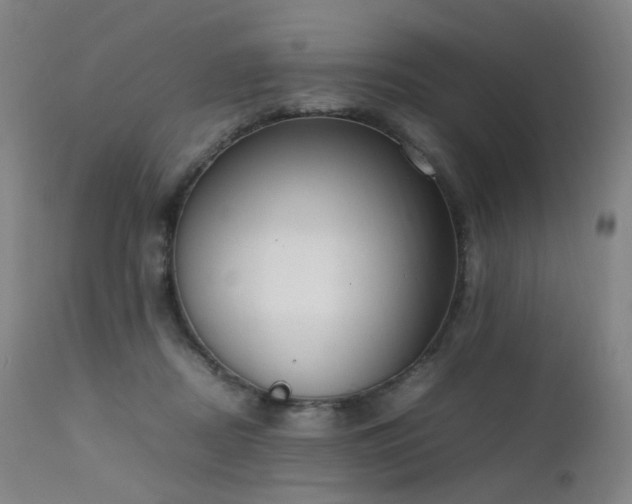 X0000111660362200907171615