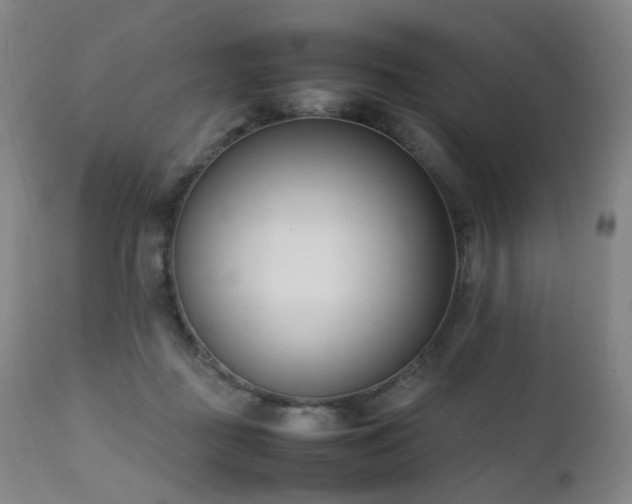 X0000111660363200907171615