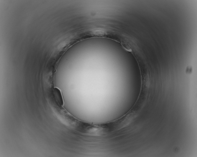 X0000111660364200907171615
