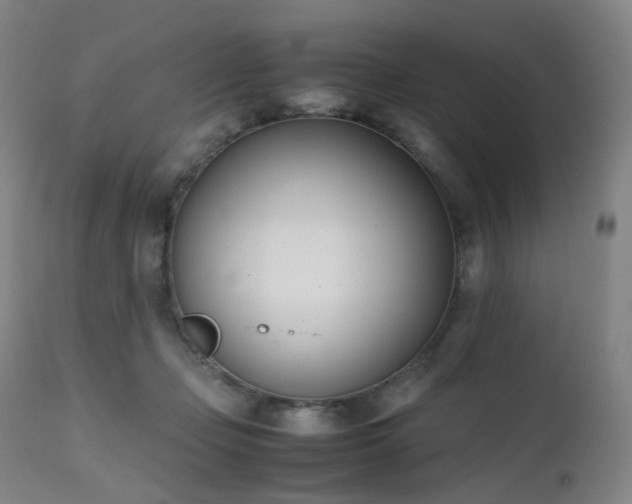 X0000111660365200907171615