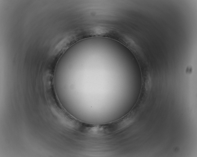 X0000111660366200907171615