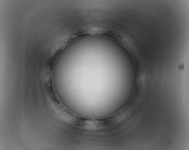 X0000111660367200907171615