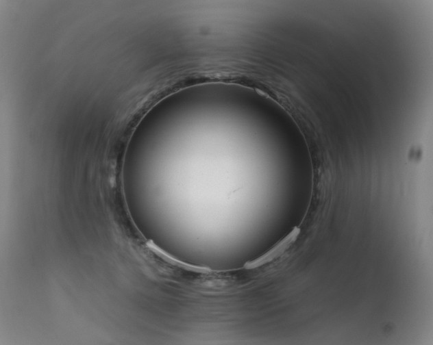 X0000111660368200907171616