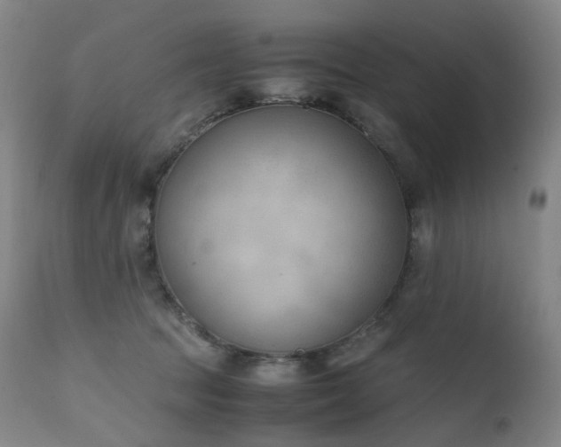 X0000111660369200907171616