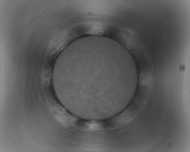 X0000111660370200907171616