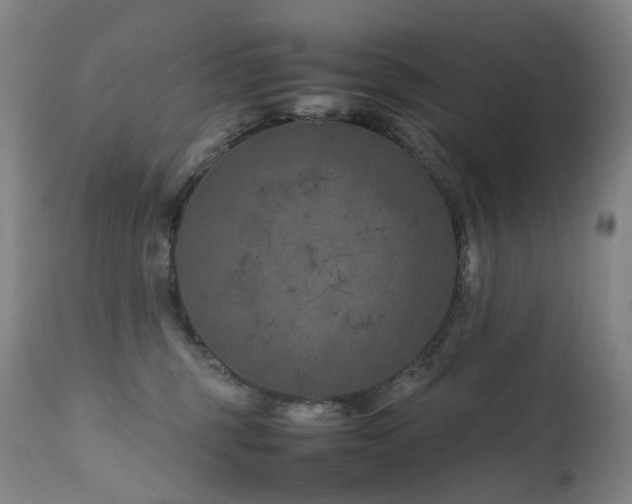 X0000111660375200907171616