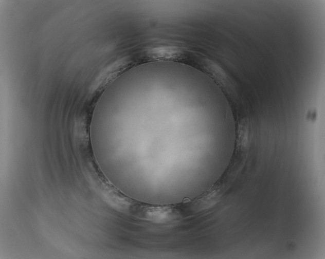 X0000111660377200907171616