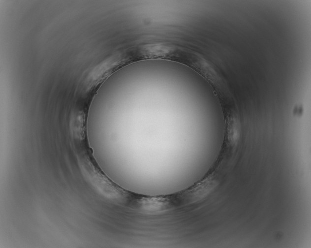 X0000111660378200907171616