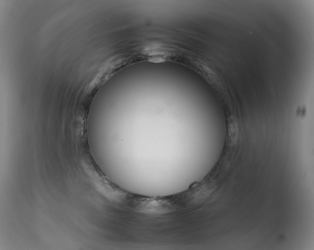 X0000111660379200907171616