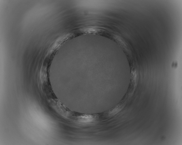 X0000111660381200907171616
