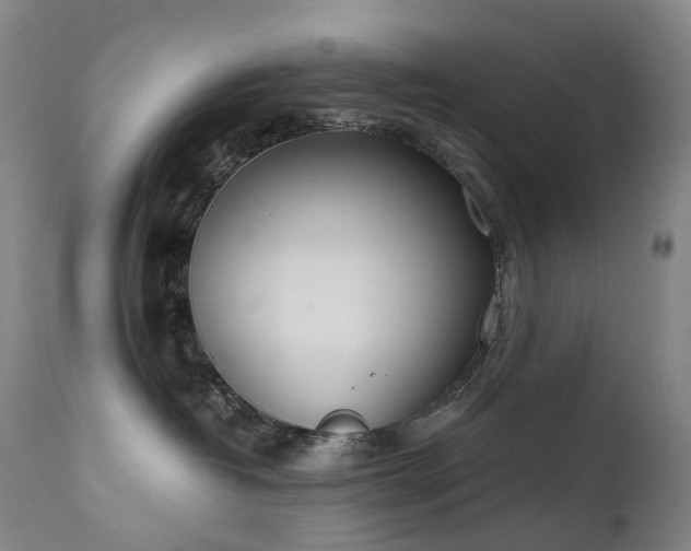 X0000111660382200907171616