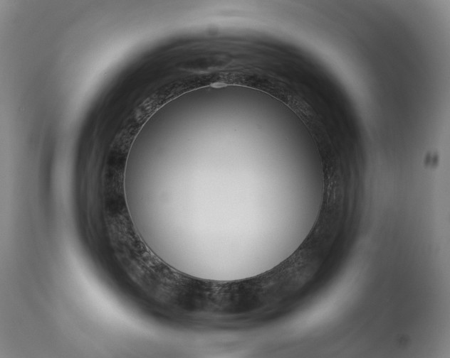 X0000111660383200907171616
