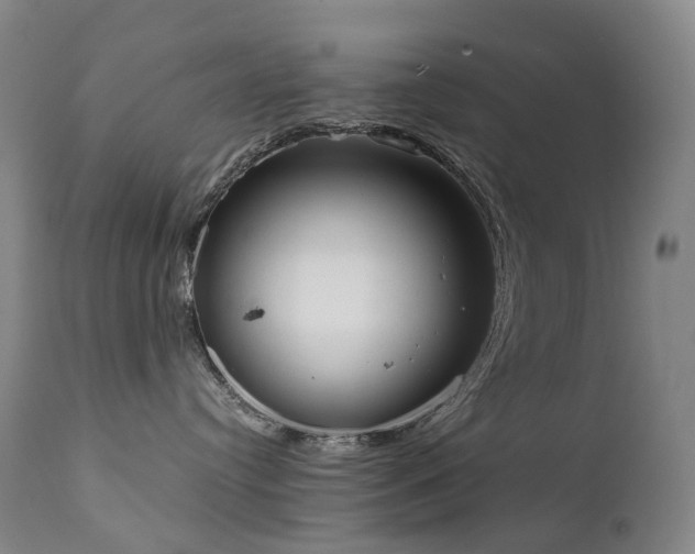 X0000111660384200907171616