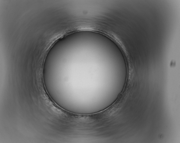 X0000111660385200907171615