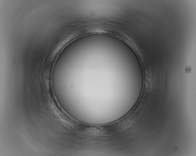X0000111660386200907171615