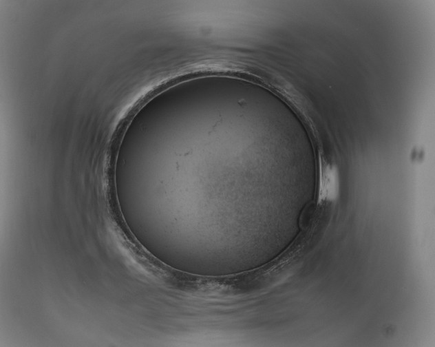 X0000111660387200907171615