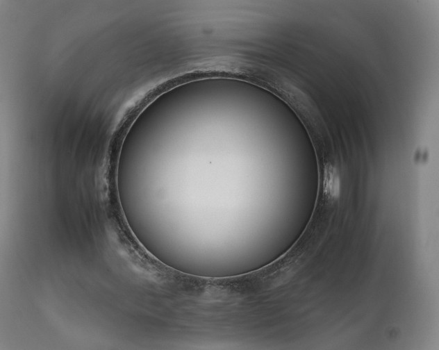 X0000111660388200907171615