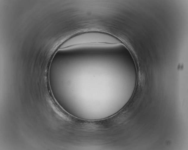 X0000111660389200907171615