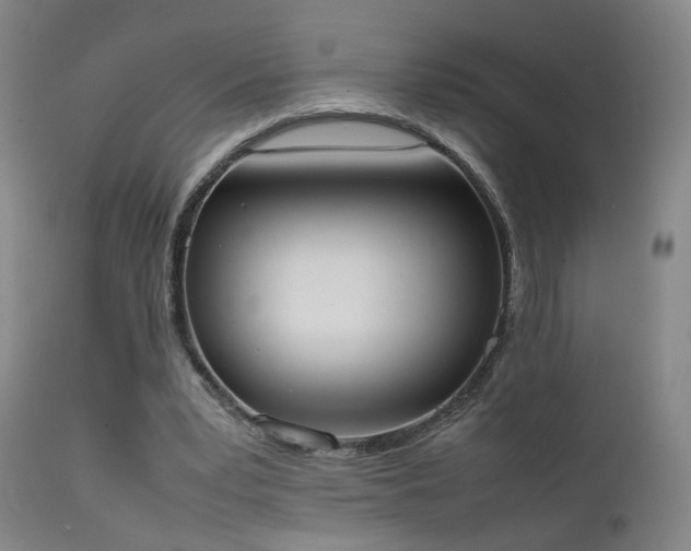 X0000111660391200907171615