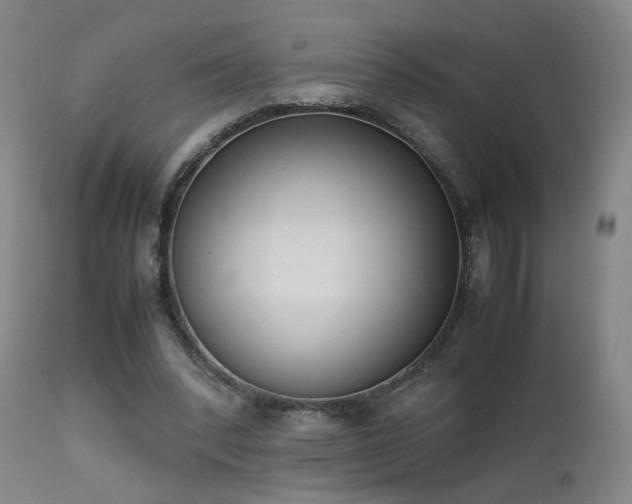 X0000111660392200907171615