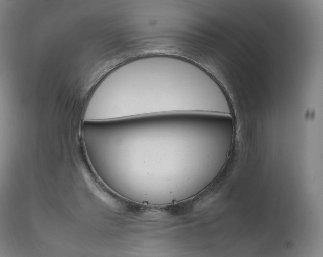 X0000111660397200907171615