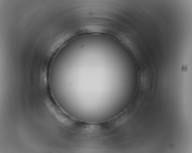 X0000111660398200907171615