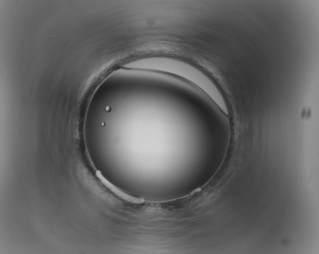 X0000111660399200907171615