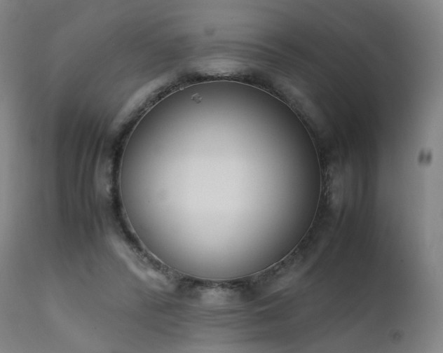 X0000111660400200907171615