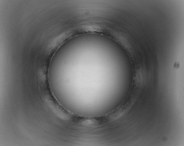 X0000111660402200907171615