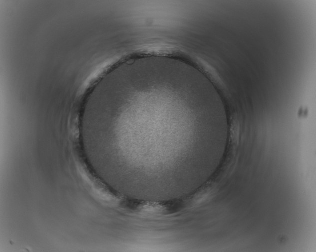 X0000111660403200907171615