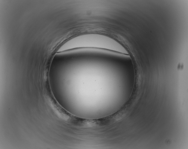 X0000111660405200907171615