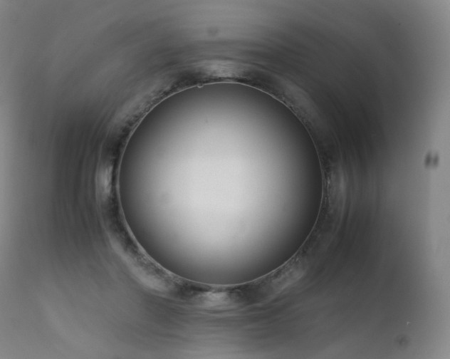 X0000111660406200907171615
