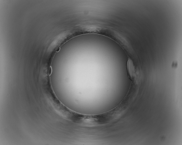 X0000111660407200907171615