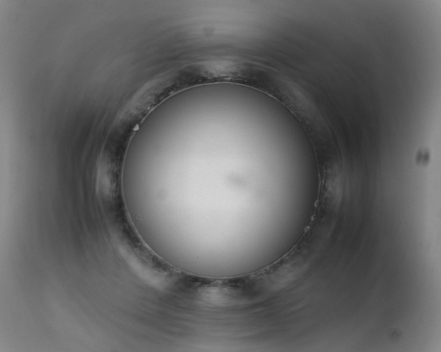X0000111660408200907171615