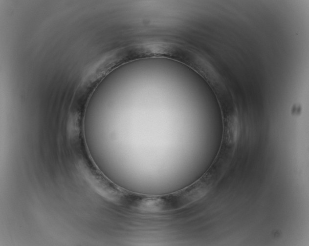 X0000111660410200907171615