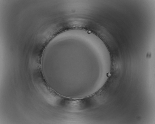 X0000111660411200907171615